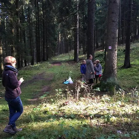 Апартаменты Sonnenhof Бад-Эльстер