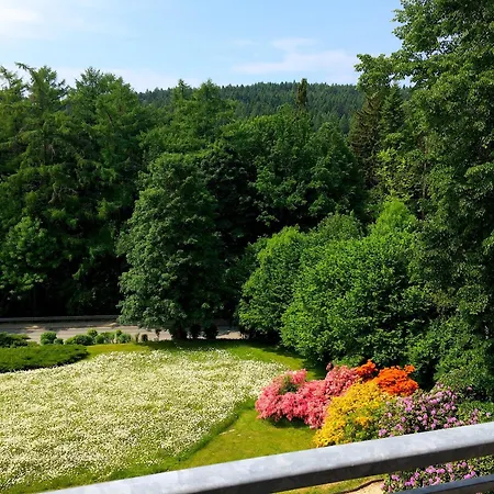 Sonnenhof Διαμέρισμα Bad Elster