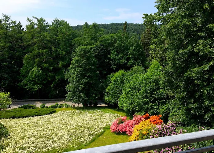 Sonnenhof Apartment Bad Elster